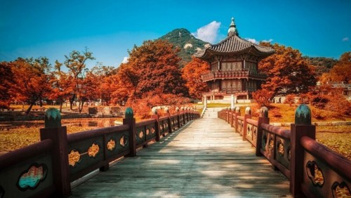 Vì sao tiếng Hàn lại được nhiều người lựa chọn?
